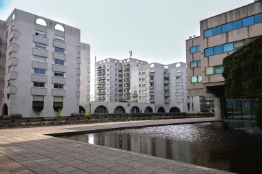 Meriadeck   Bassin et mur de verdure (3).